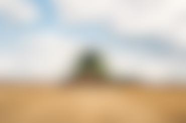 Organizar pedido semanal de productos del campo