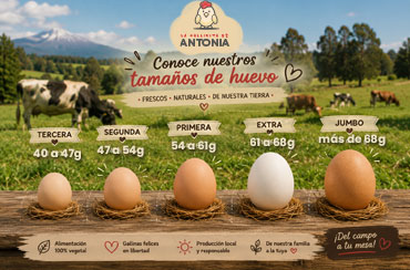 Cómo elegir huevos frescos en Villarrica