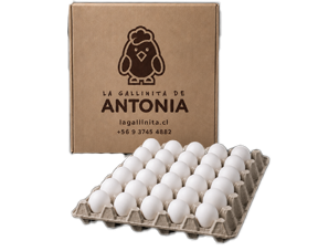 Caja Primera Blanco