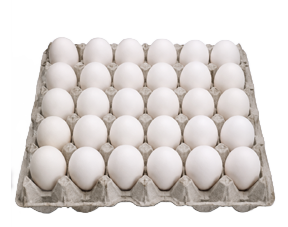 Bandeja Extra Blanco