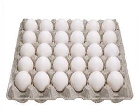 Bandeja Primera Blanco
